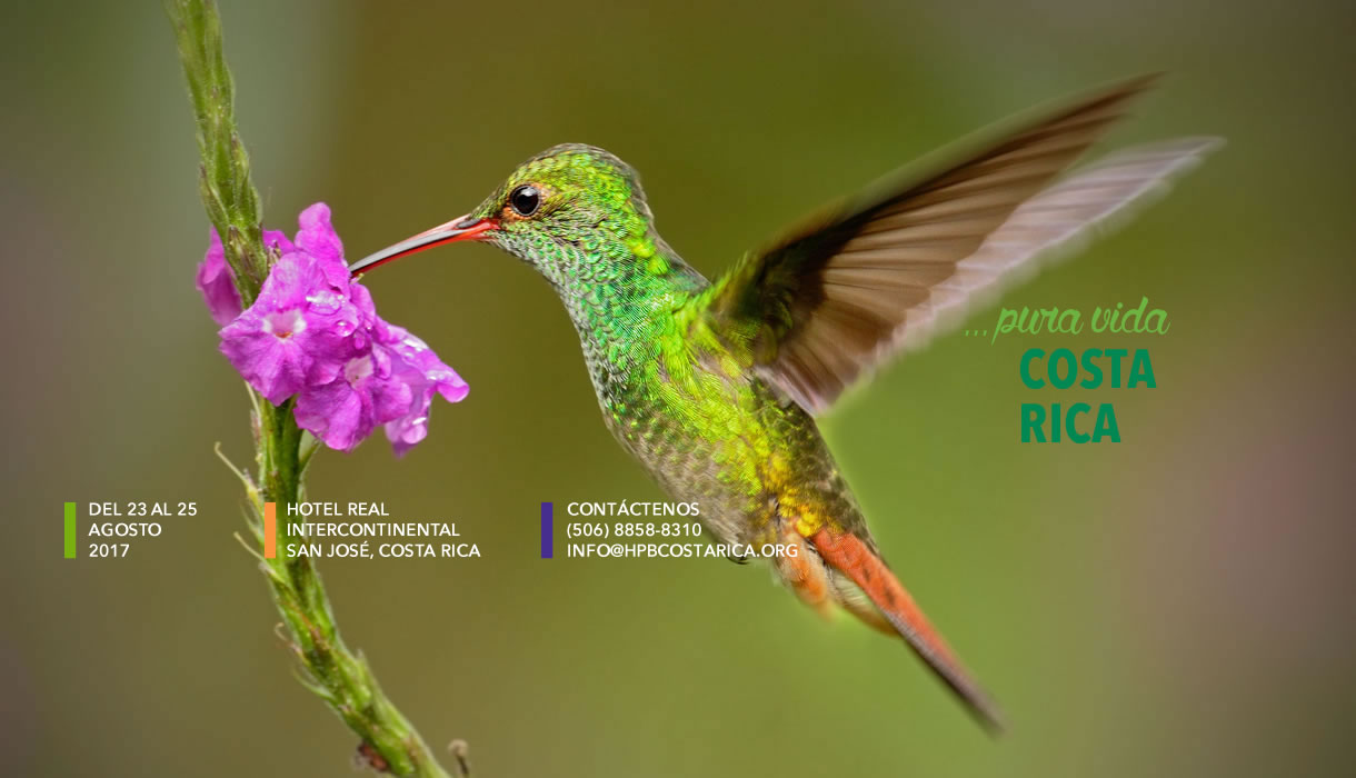 slider colibri