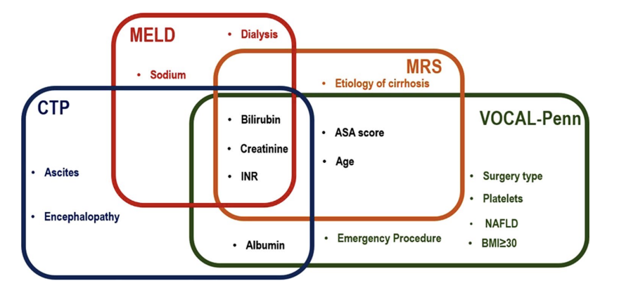Clasificaciones de riesgo