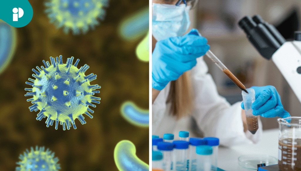 Un trasplante de microbiota fecal podría prevenir recaídas de encefalopatía hepática: resultados del ensayo THEMATIC