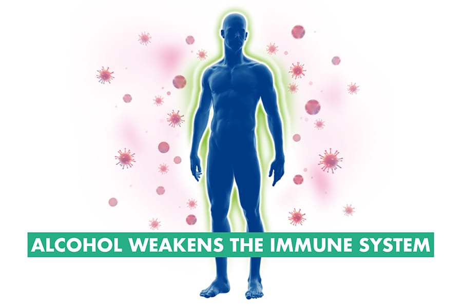 Alcohol weakens immune system s