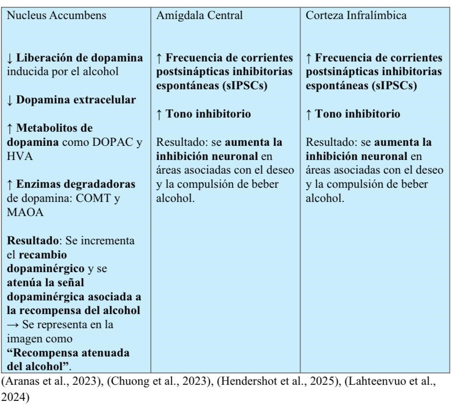 Imagen3 Semaglutida