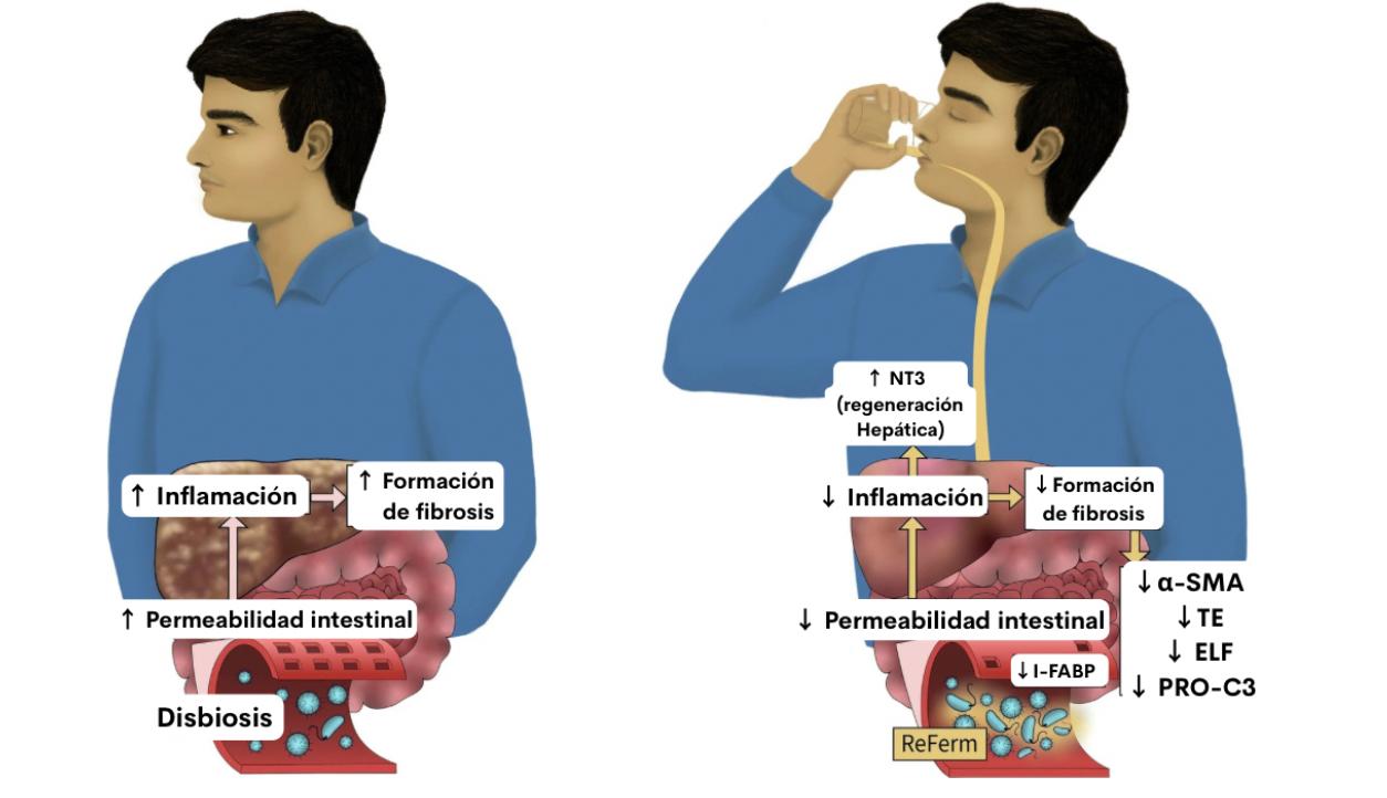 WhatsApp Image 2026 03 27 at 2.06.06 PM