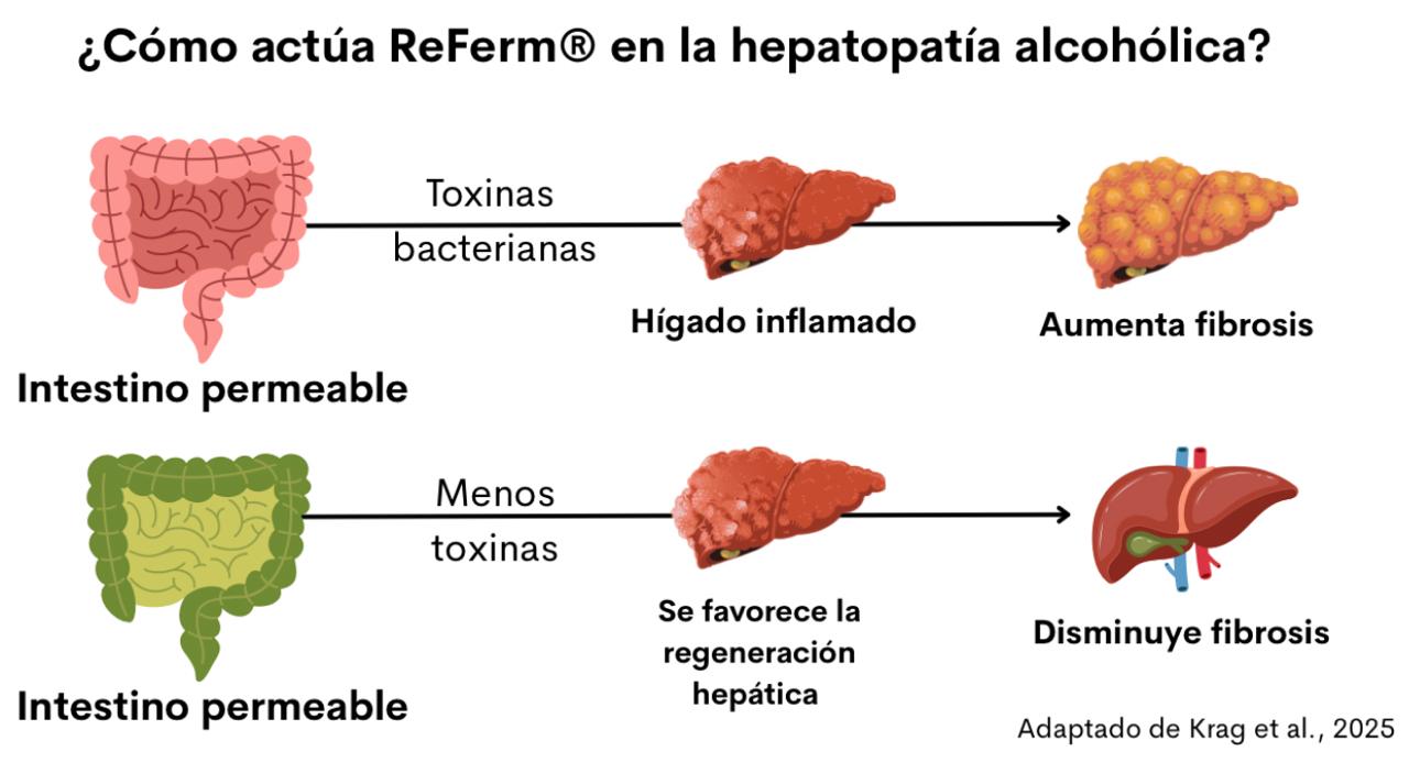 WhatsApp Image 2026 03 27 at 2.05.46 PM