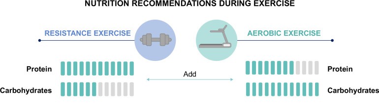Recomendaciones nutricionales durante ejercicio