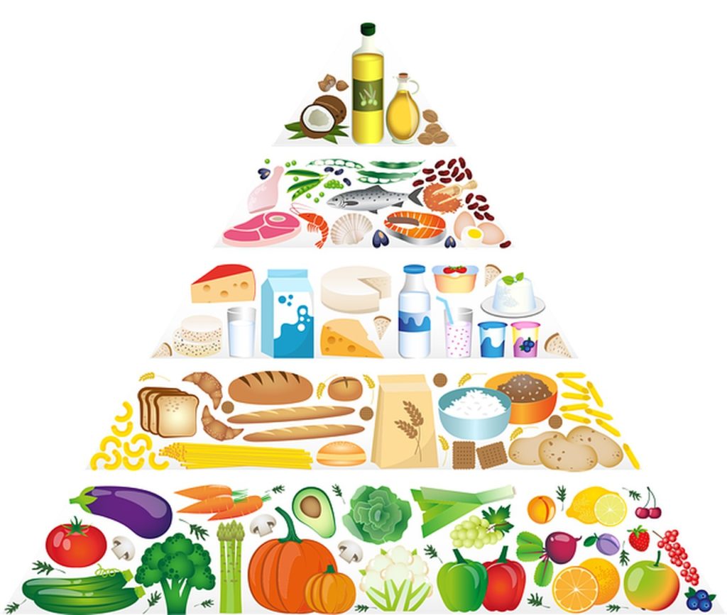 food pyramid 5329204 640 Easy Resize.com 1024x867