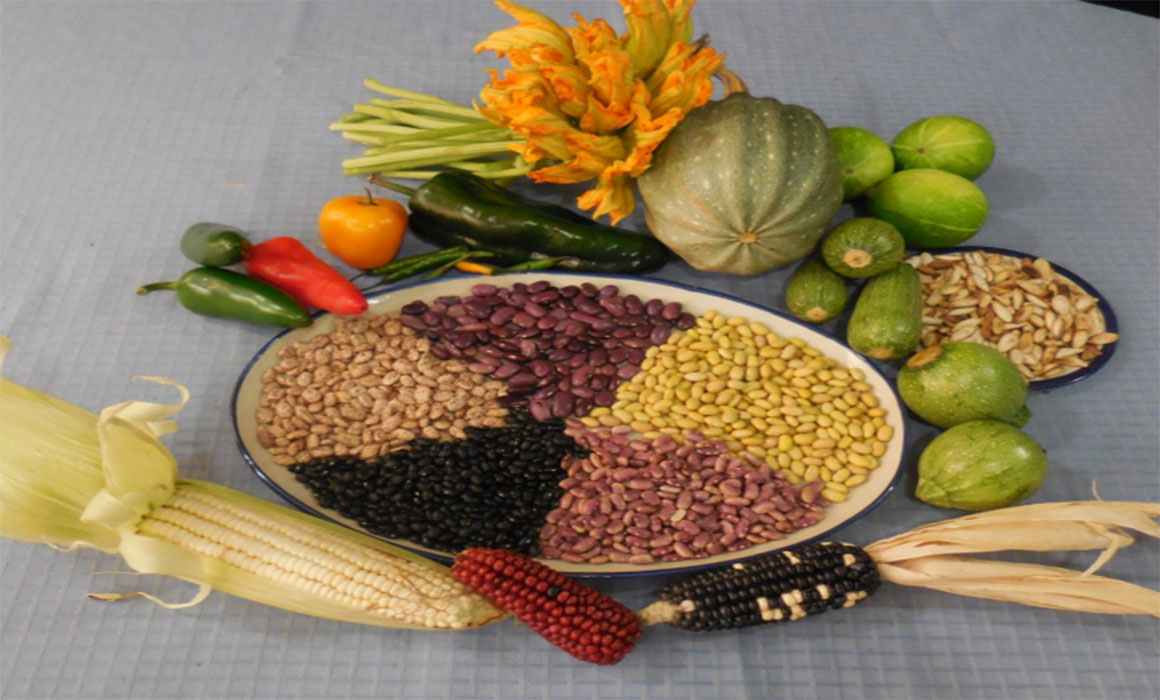 milpa alimentos