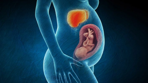 enfermedad hepatica embarazo mujer