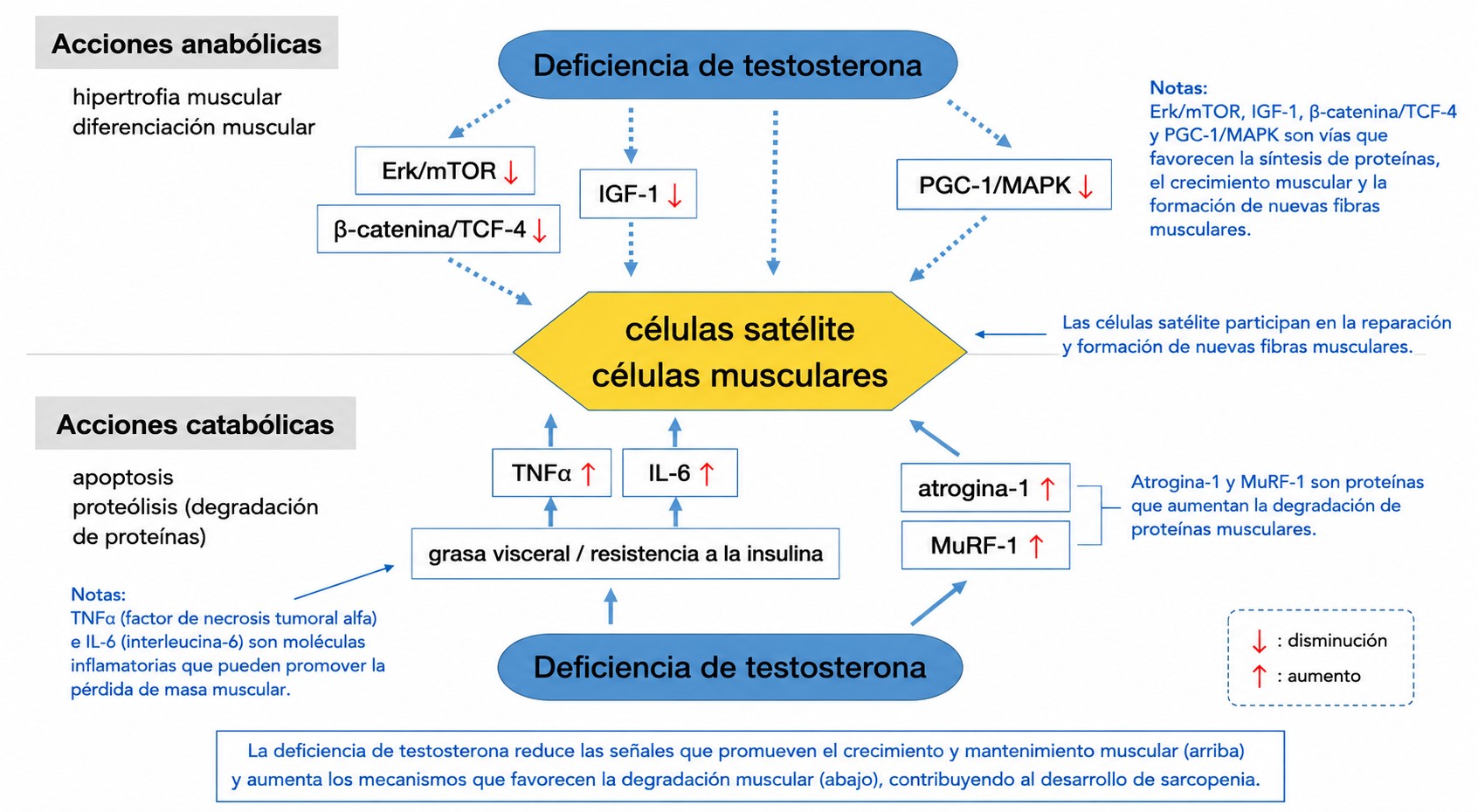 figura 2