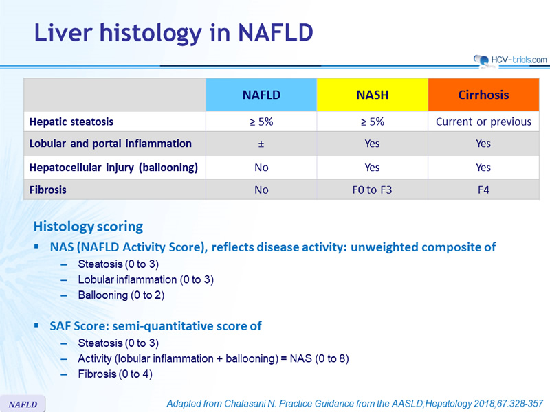 SAF Score in NAFLD