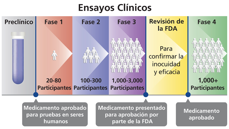 Ensayos clínicos Spanish 800