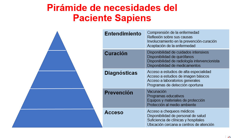 Piramide paciente sapiens 2