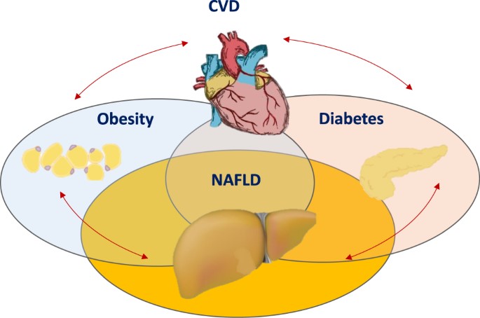 Foto 7.Obesidad NAFLD diabetes CVD