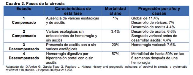 fases de la cirrosis oagzm5